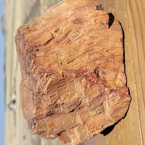4lbs 11.9oz Az tree branch chunk of Petrified wood specimen